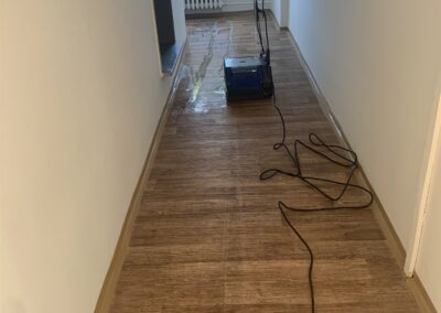 Pavel Polák úklidová firma